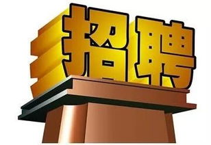 長春軟件開發行業迎來新機遇，科技創新助力城市數字化轉型