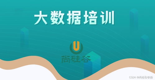 零基礎(chǔ)入門(mén)大數(shù)據(jù)開(kāi)發(fā)技術(shù) 從構(gòu)建知識(shí)體系到實(shí)戰(zhàn)的完整路徑