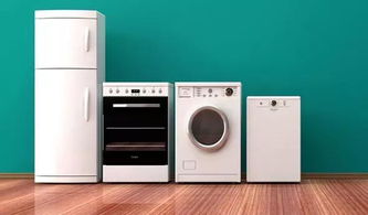 海外雜談 被 垃圾分類 逼瘋 來看看歪果仁怎么倒垃圾